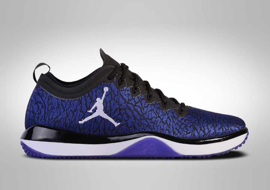 air jordan trainer 1 low