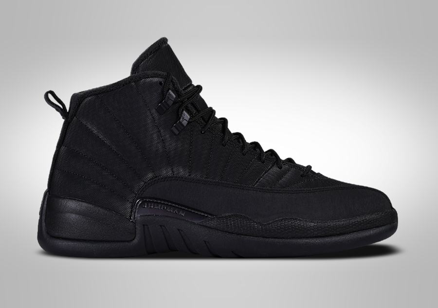 Jordan 12 retro winter black best sale