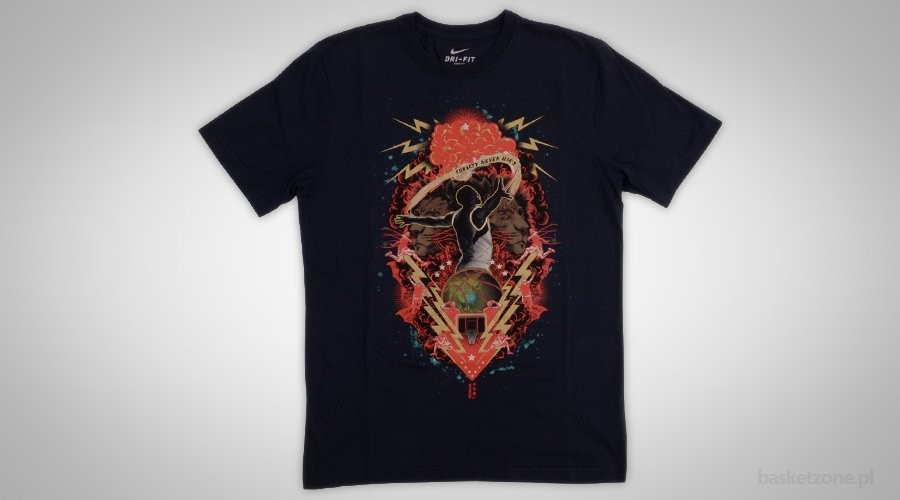 NIKE LEBRON JAMES LOYALITY TEE T-SHIRT